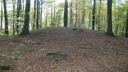 Sønderskoven