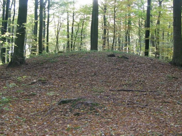 Sønderskoven