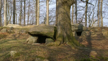 Blomeskobbel-nordens-største-samling-gravhøje