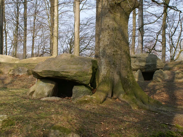 Blomeskobbel-nordens-største-samling-gravhøje