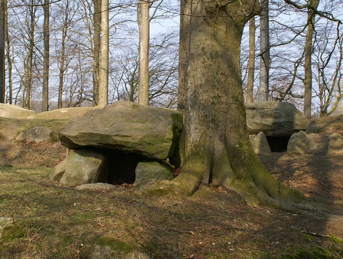 Blomeskobbel-nordens-største-samling-gravhøje