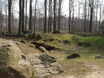 Blomeskobbel-langdysser