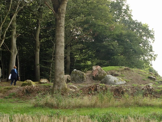 Langdysse-i-skovbryn-Blomeskobbel