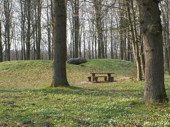 Nørreskoven-Als-Gravhøj