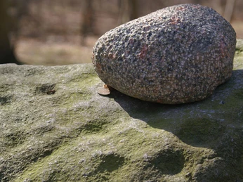 Nørreskoven-Als-Skålsten