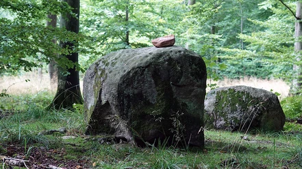 Nygaardstenen-i-Nørreskoven-Als