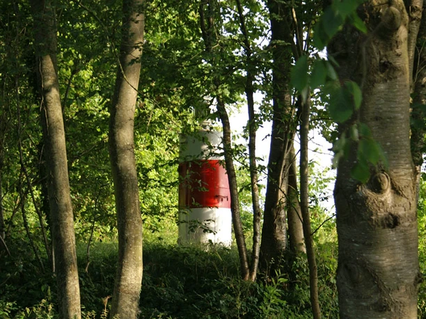 Sottrupskov_Fyr-mellem-træerne