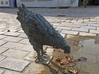 Høne-er_det_et_korn