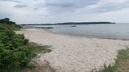 Løjt Feriecenters strand blomster - Josefine - GDK