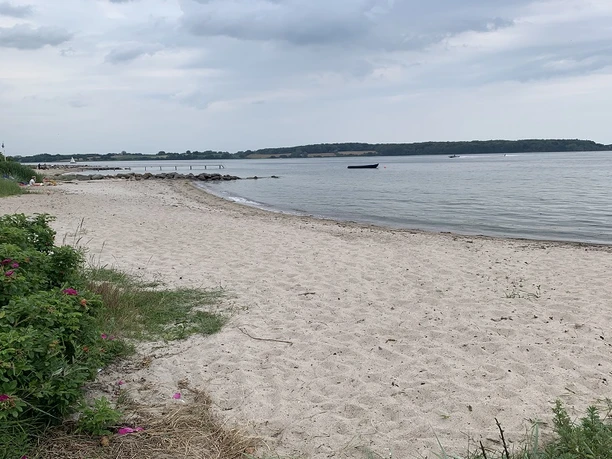 Løjt Feriecenters strand blomster - Josefine - GDK