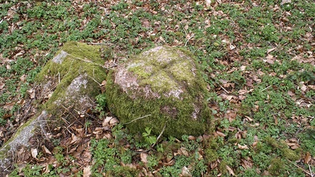Rumohrsgaard-Dyrehave-Korssten