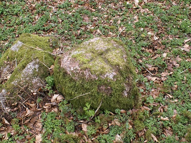 Rumohrsgaard-Dyrehave-Korssten