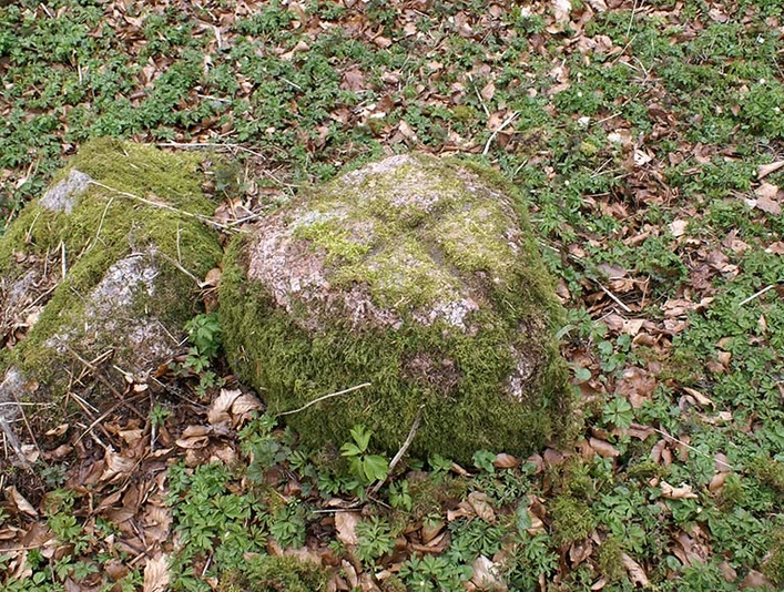 Rumohrsgaard-Dyrehave-Korssten