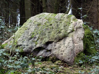 Rumohrsgaard-dyrehave-Skålsten