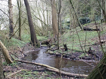 Rumohrsgaard-Dyrehave-bæk