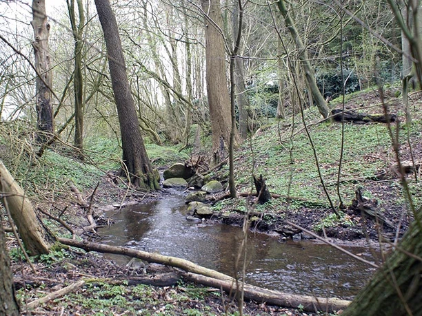 Rumohrsgaard-Dyrehave-bæk