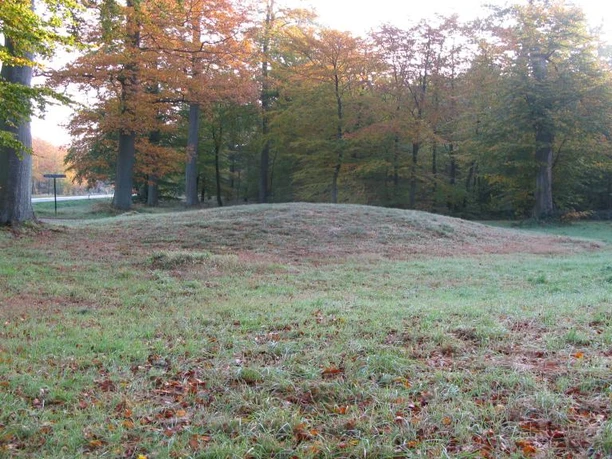 Sønderskoven