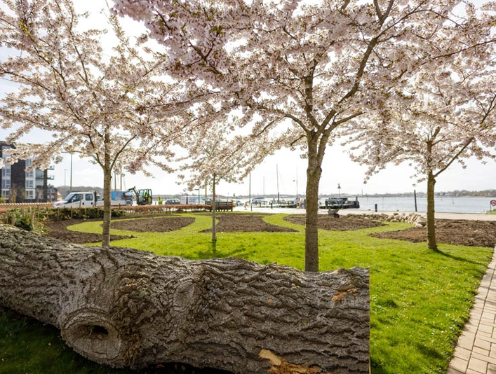 Forår-i-Formidlingshaven-i-Gråsten