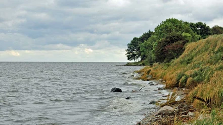 FV-VoigtStrand2