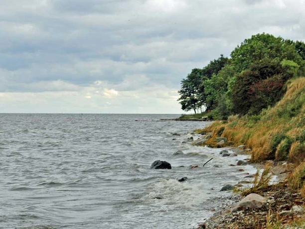 FV-VoigtStrand2