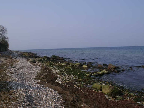 FV-VoigtStrand1