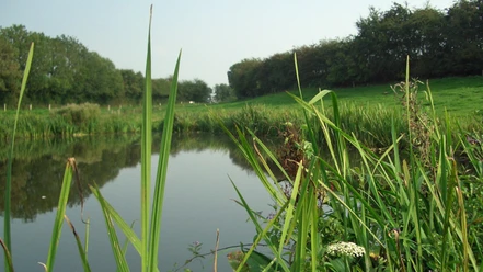 Stevning-Moser-ved-Nordborg-på-øen-Als