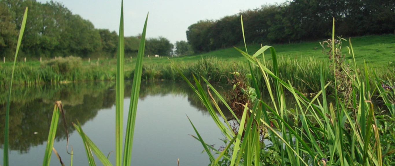 Stevning-Moser-ved-Nordborg-på-øen-Als