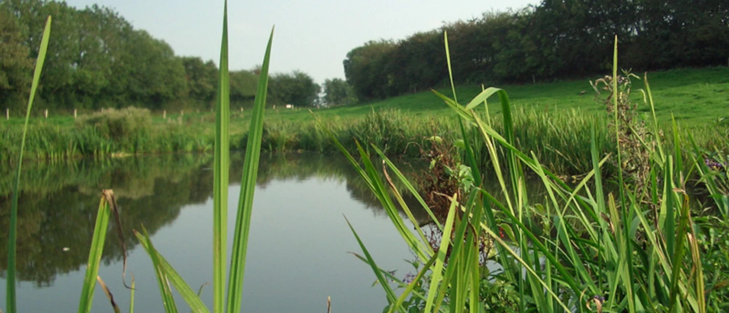 Stevning-Moser-ved-Nordborg-på-øen-Als