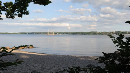 Kollund strand