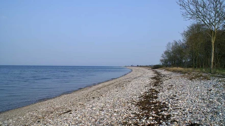 FV-Fladbaek1