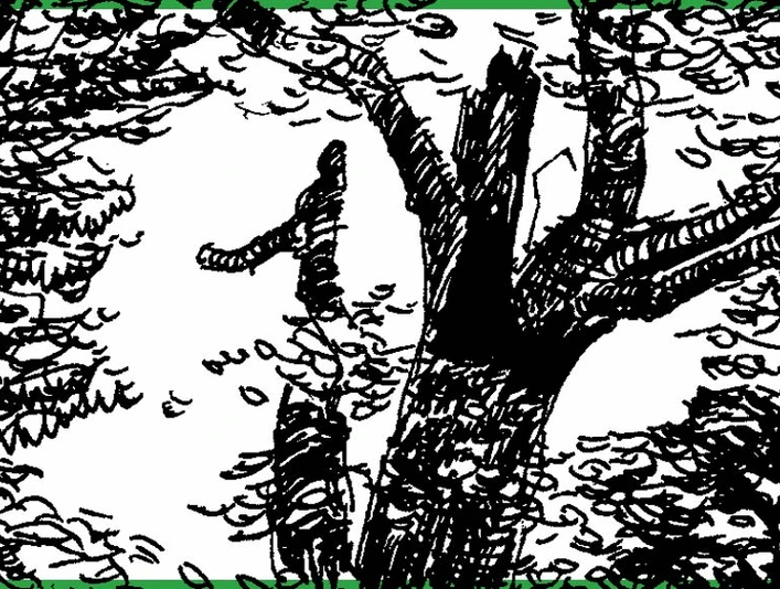 Sporet-ved-Fiskbæk-skitse