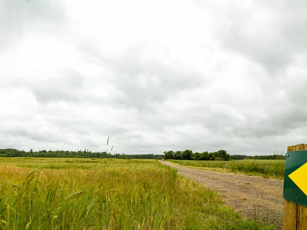 Sporet-ved-Fiskbæk-skilt