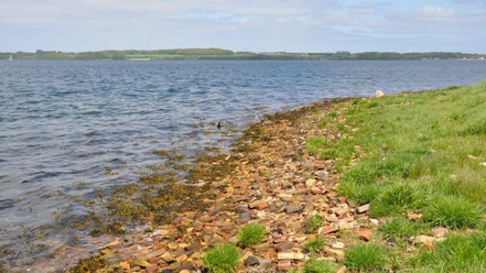 Teglsten på stranden ved Nybøl Nor