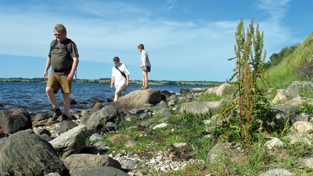 Stevning-Nor-stien-paa-stranden-2