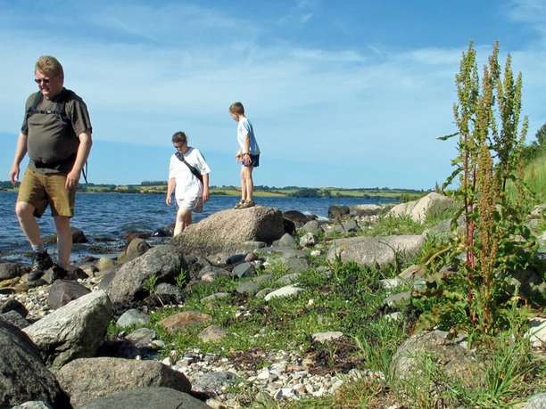 Stevning-Nor-stien-paa-stranden-2