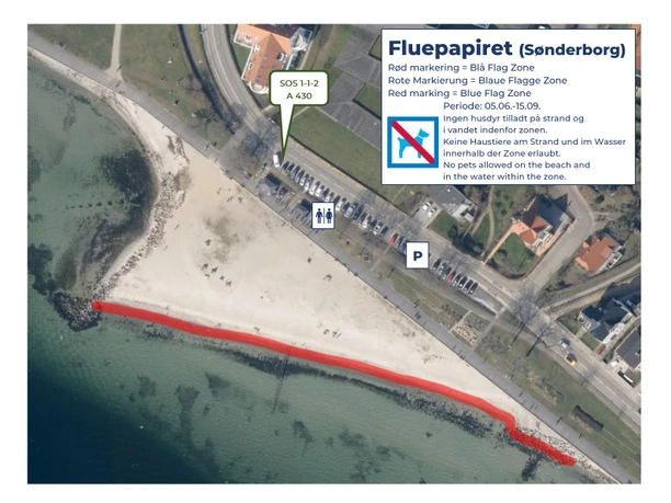 Blå Flag Zone Fluepapiret Sønderborg