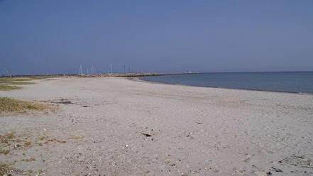 Fynshav Strand