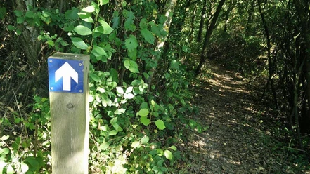 MTB-Spang_spormarkering