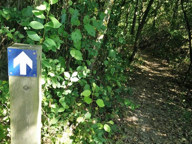 MTB-Spang_spormarkering