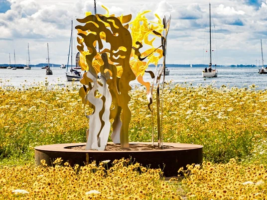 Synergi-i-gult-blomsterhav-med-skibe-på-vandet