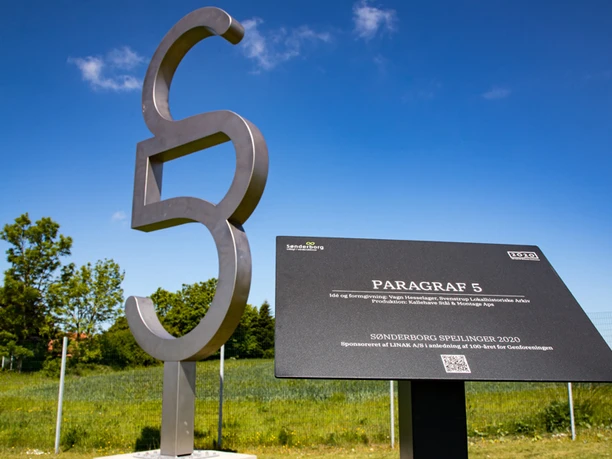 Paragraf-5_ved_Linak