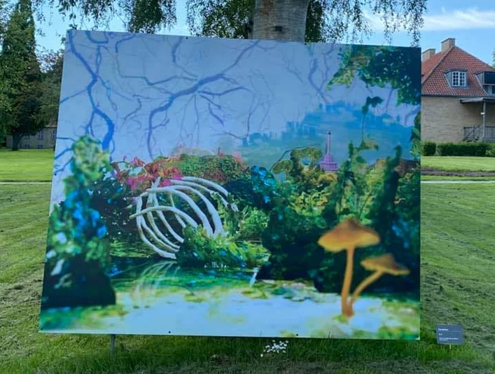 Augustenborg_Art_Project