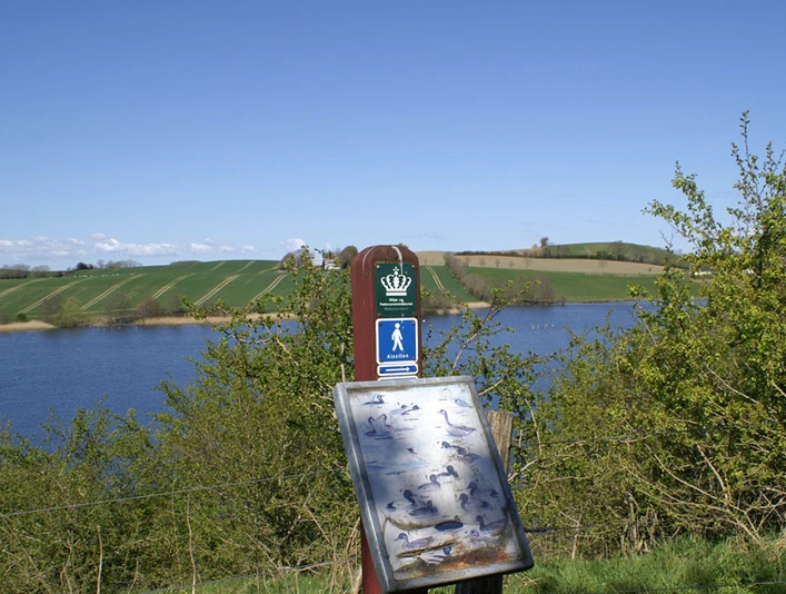 Alsstien-ved-Oldenor