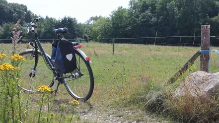 KøbingsmarkStrandCamping-cykeludlejning