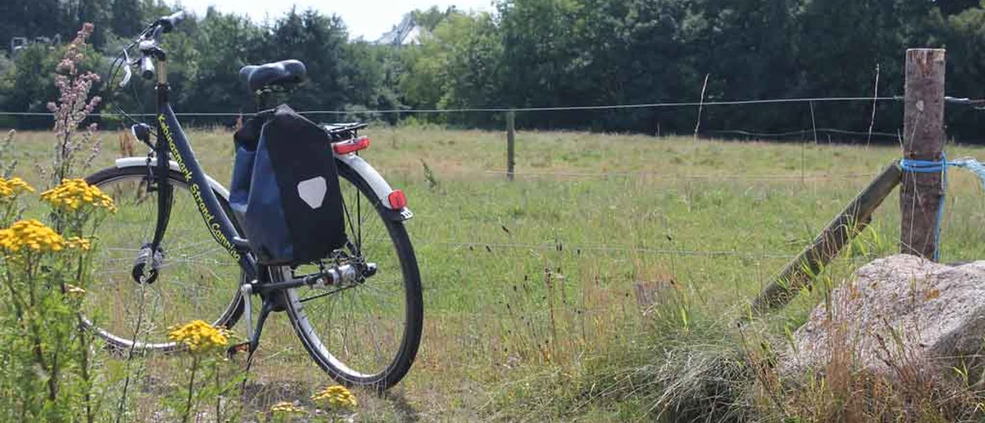 KøbingsmarkStrandCamping-cykeludlejning