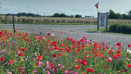 Den-Gamle-Stald-blomstereng