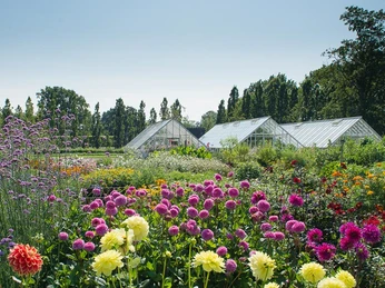 Den-kongelig-køkkenhave-Gråsten