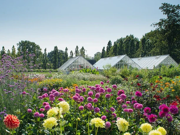 Den-kongelig-køkkenhave-Gråsten