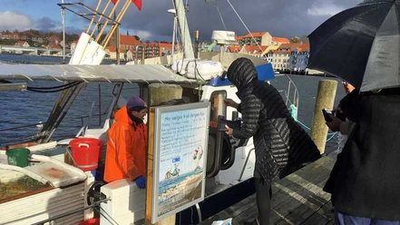 Leif-Due-Frisk-Fisk-Kajsalg