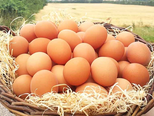 Mjelsmark-Gårdpakkeri-kurv_med_æg